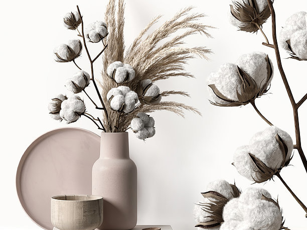 Decorative set with dry plants 5