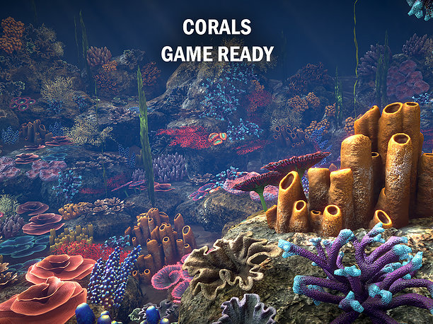 3D model Corals