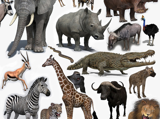 3D Colossal Animal Pack HD - Animated
