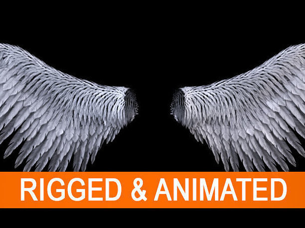 3D animated Angel Wings