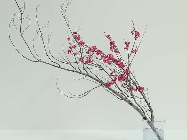 Decorative branch with flowers of sakura 3D model