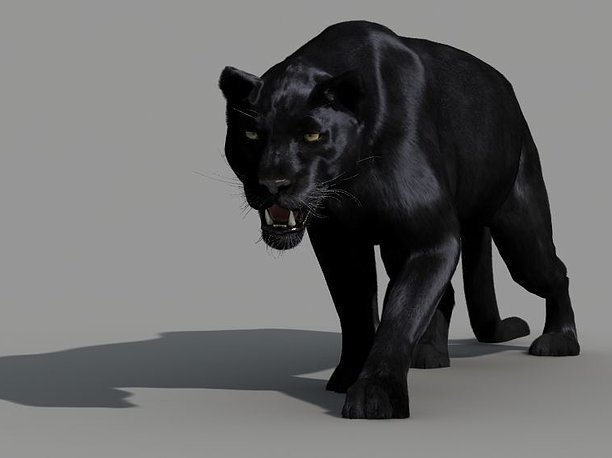 Panther-animations 3D