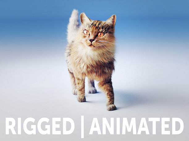 Rigged Cat Hyper Realistic model with animated