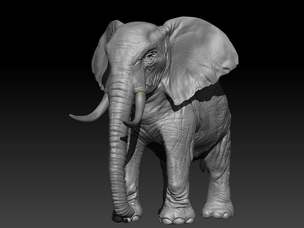 Realistic Elephant Hi-Rez with realistic skin 