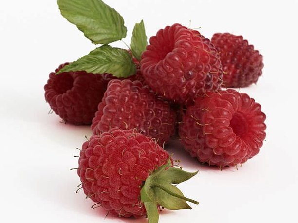 Red Raspberries With Green Stems 3D