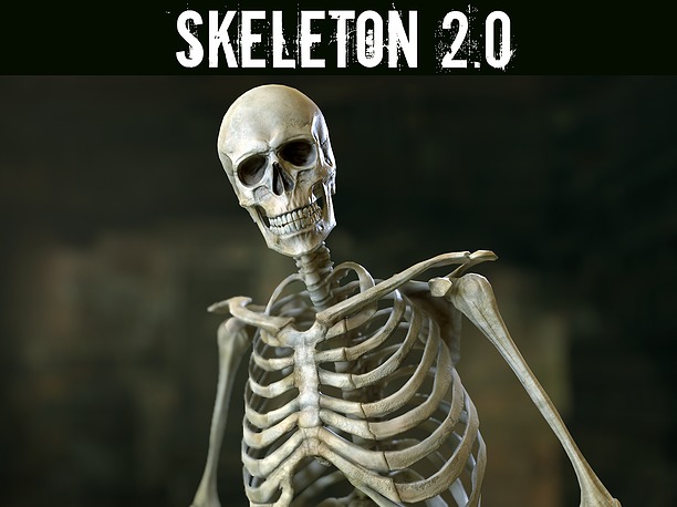Skeleton 2 3D model rigged
