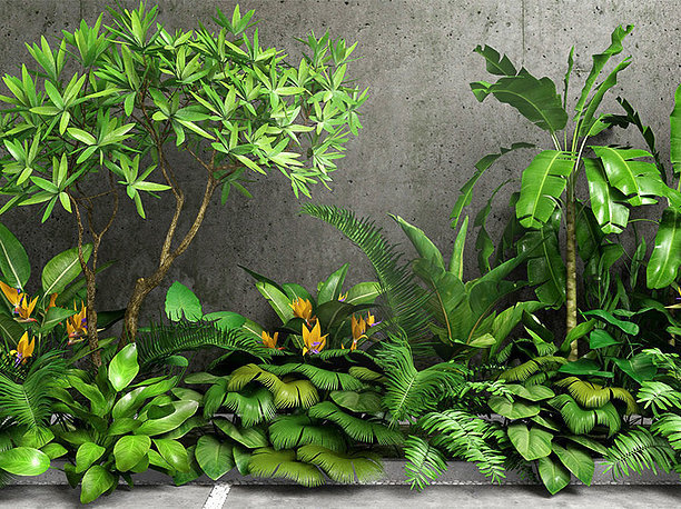 3D model Tropic